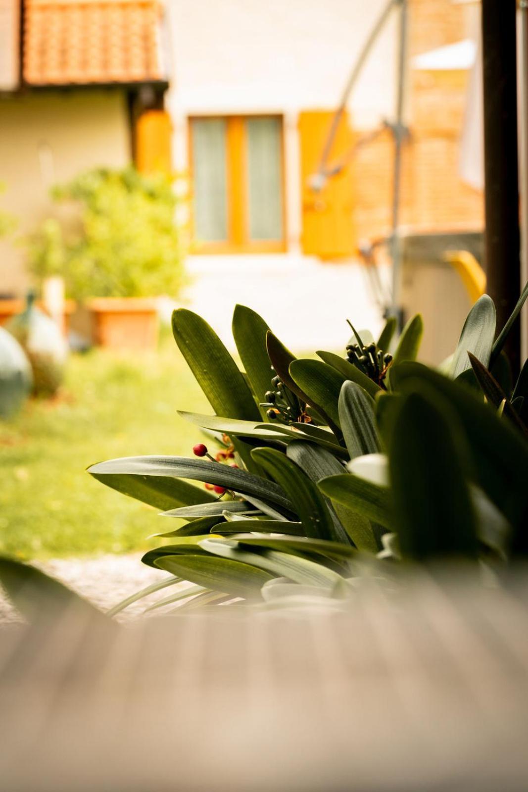 Agriturismo Podere Nigriano ซาโล ภายนอก รูปภาพ