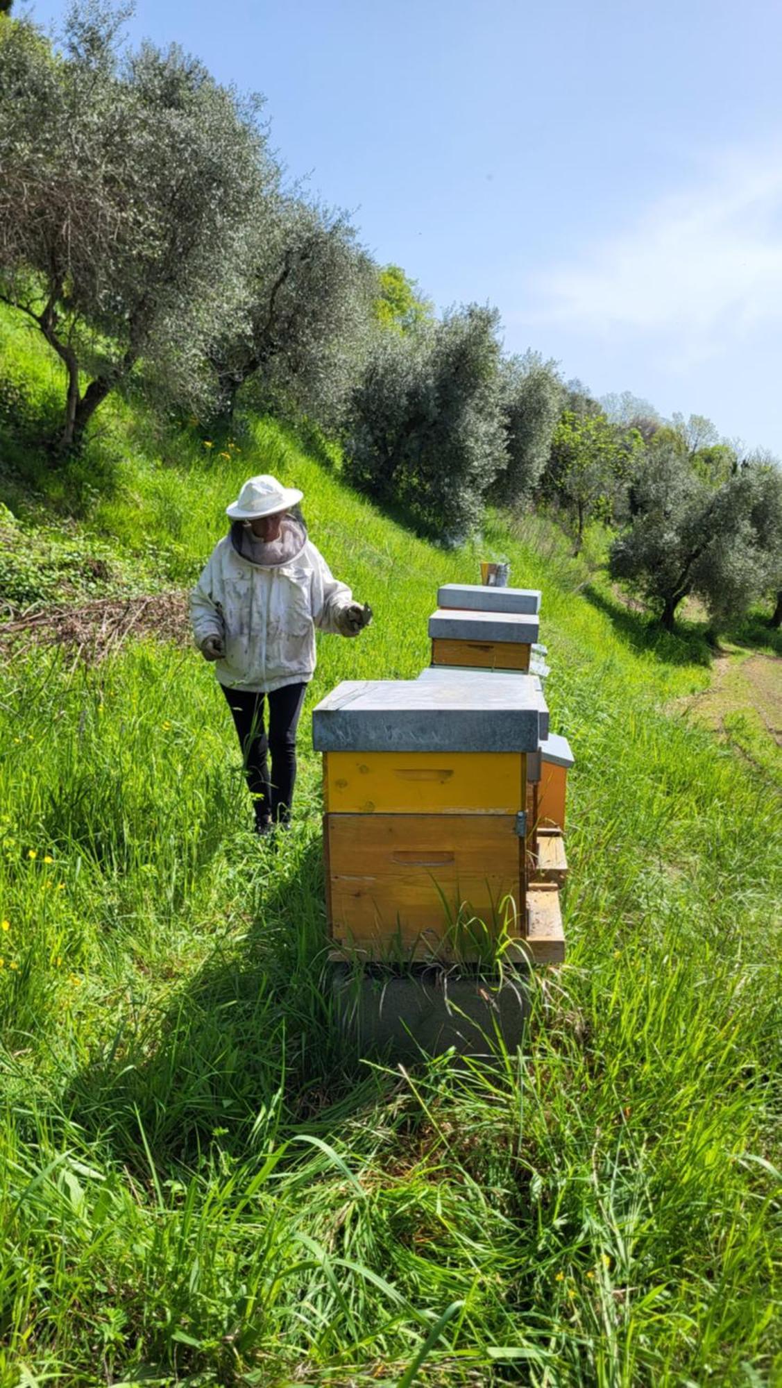 Agriturismo Podere Nigriano ซาโล ภายนอก รูปภาพ